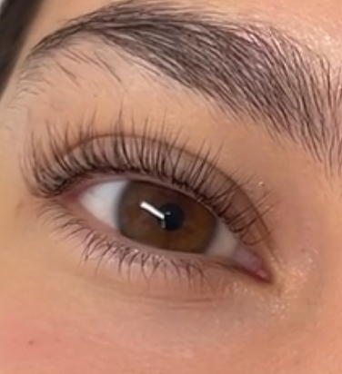Lash Lift + Tint