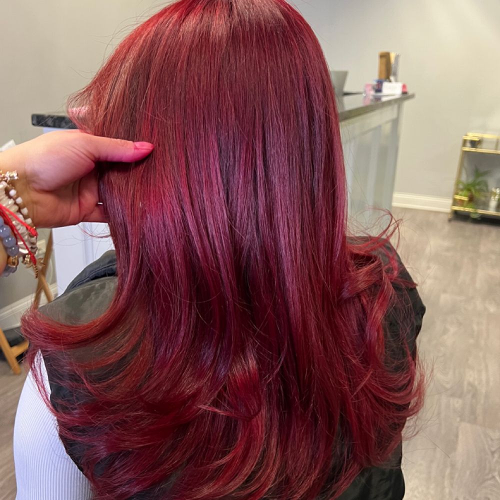 All Over Color w/ Haircut at The Rooted Chemist in Schaumburg, IL