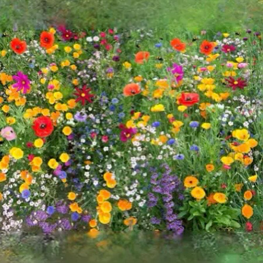 Paid Clients Use To Book at Glow Red Light Wellness Lounge in Bay Shore, NY