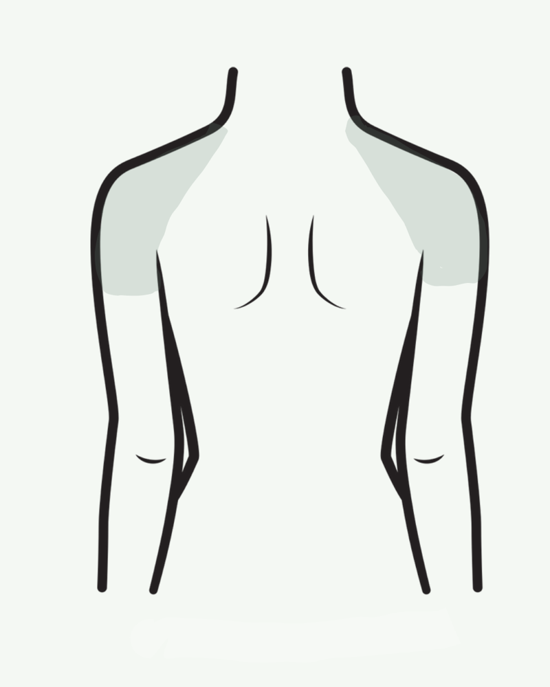 Shoulders