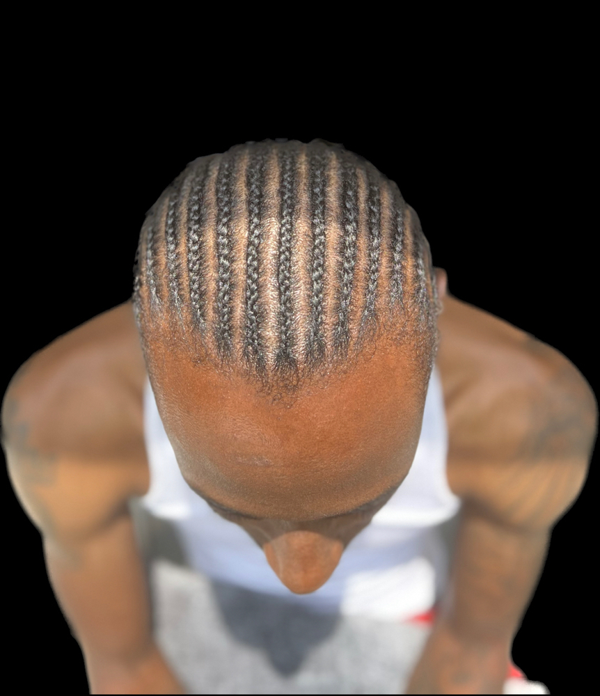 Braid (Straight Back)