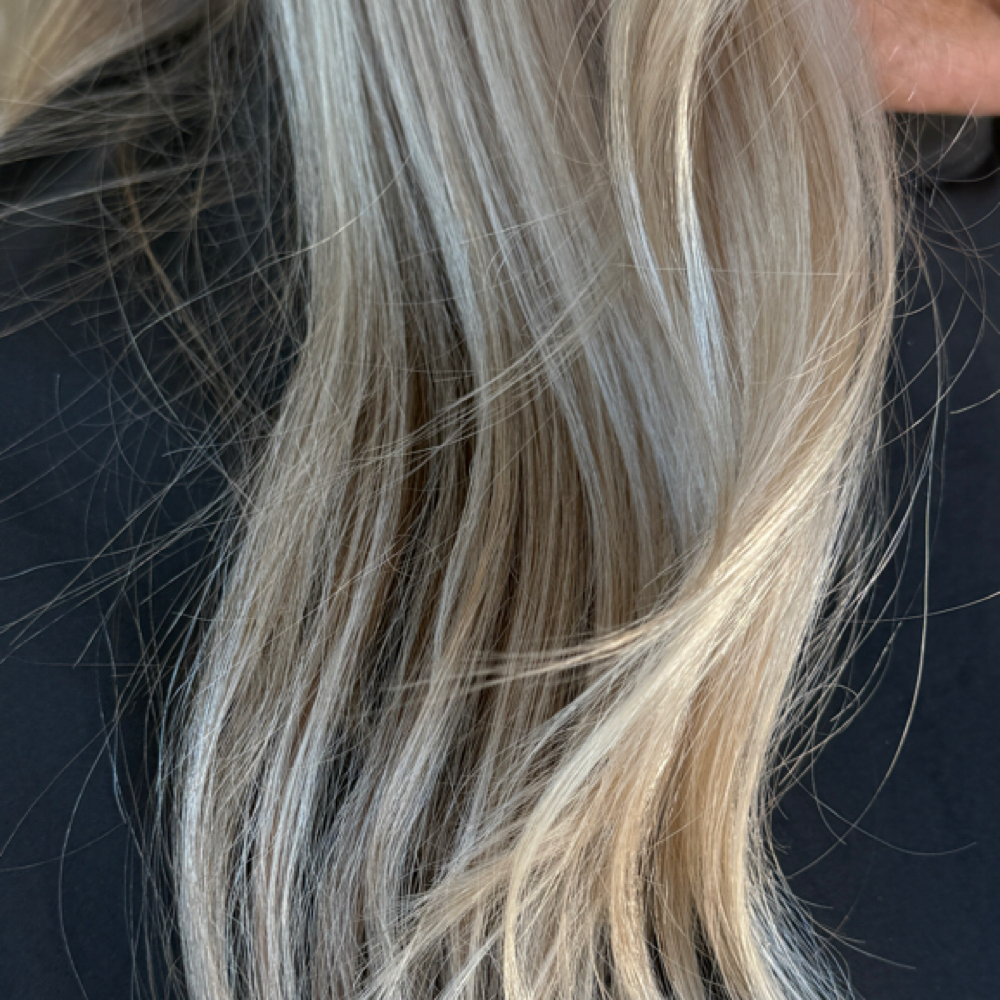 MINI at Kaitlyn LaVassaur in Eugene, OR