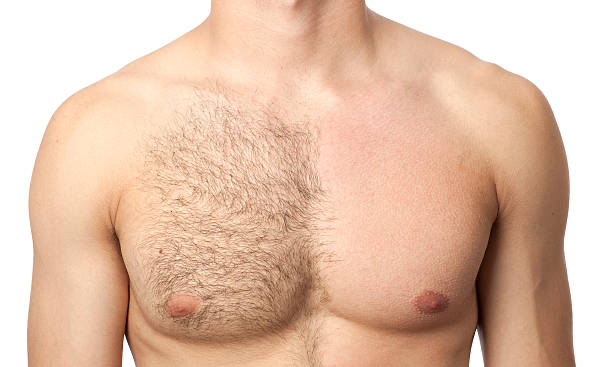 Chest (Full)