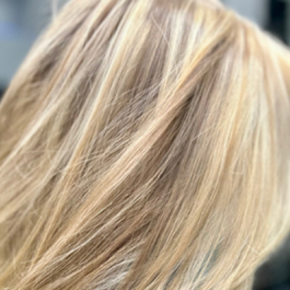 Signture Blonding & Lowlights at Beauty Realized in Holland, MI