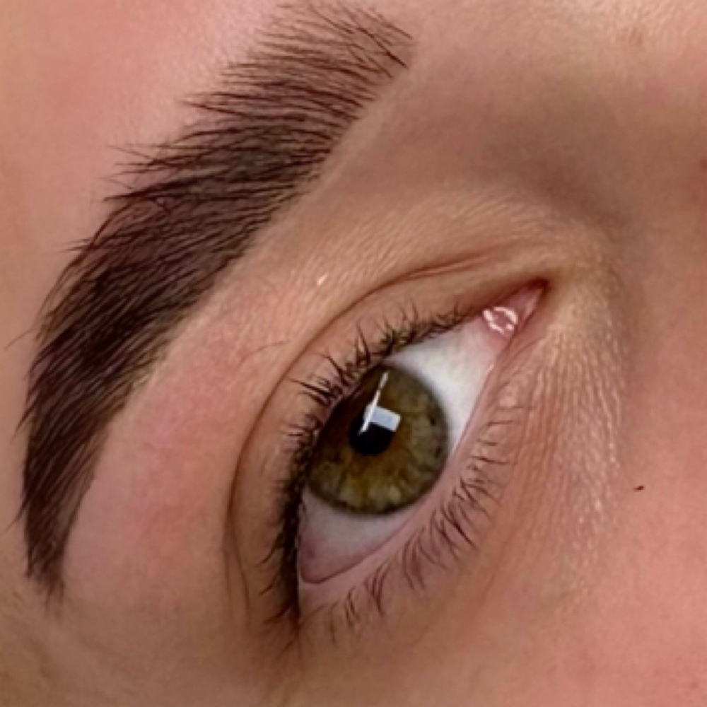 Brow Lamination at Skin by Claudia in Billings, MT