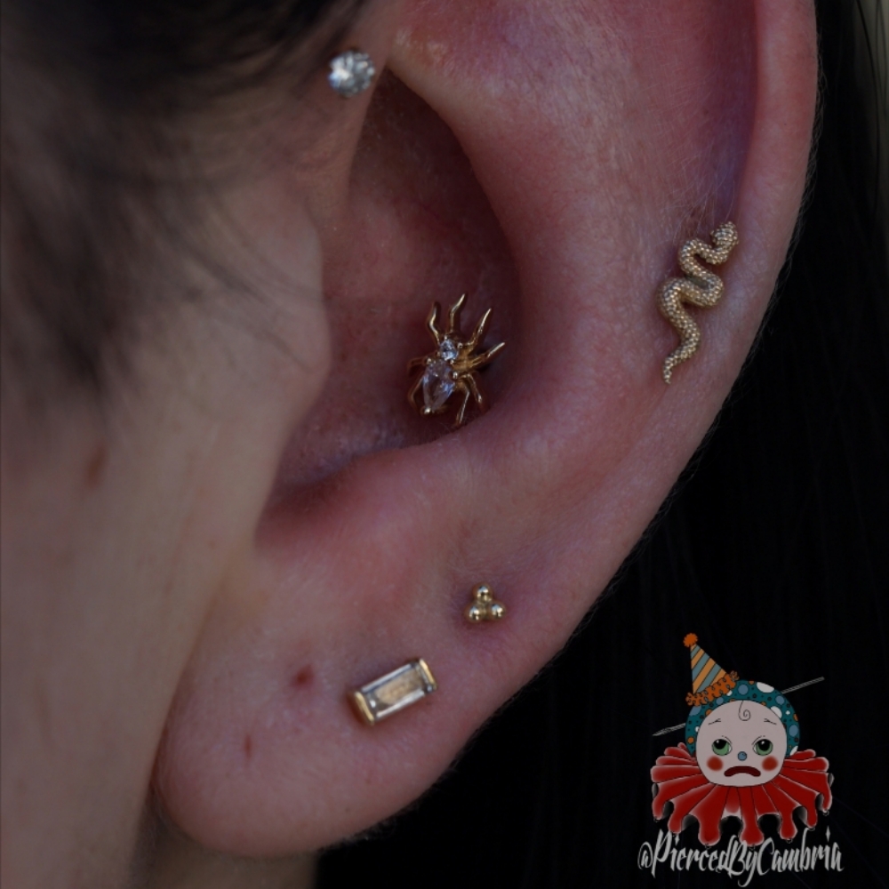 Conch (Single) at Ethereal Adornments Pierced By Cambria in Murrieta, CA
