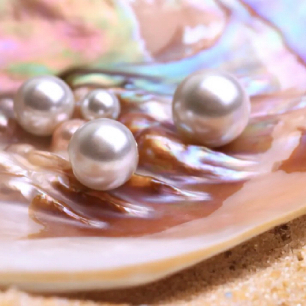 The Pearl Discovery Consultation at The Perfect Pearl Wellness & Aesthetics LLC in Jackson, MS