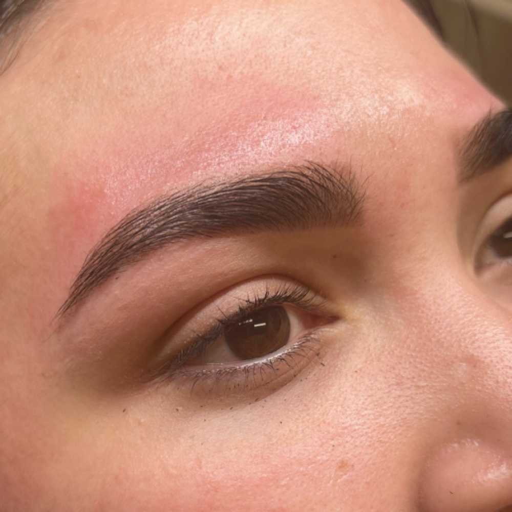 Brow Wax at Laryssa Velten Esthetics in Overland Park, KS