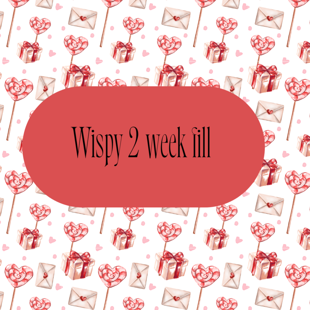 Wispy 2 Week Fill at Alondra Long Aesthetic’s in Jonesboro, AR