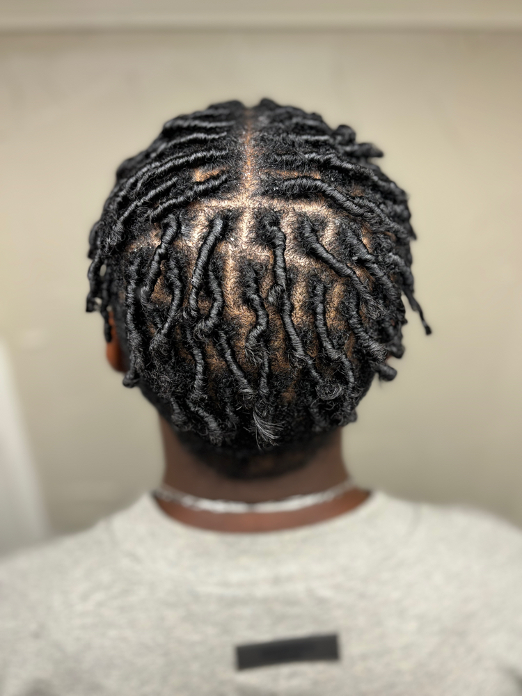 Half Head Starters Locs Short