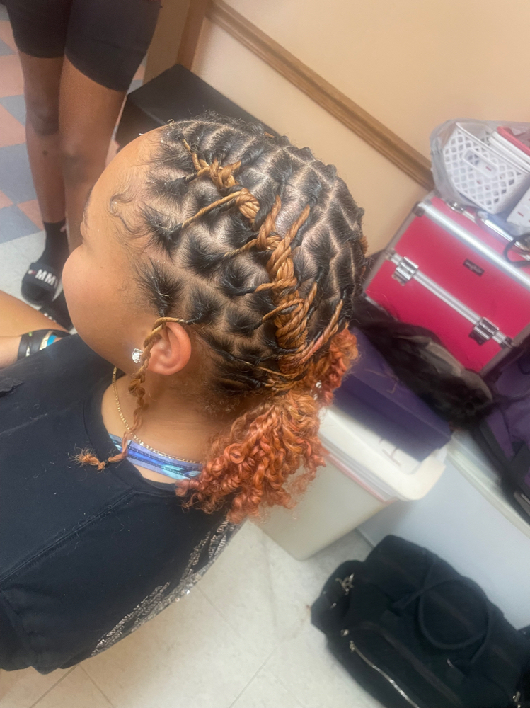 Starter Locs (coiled)