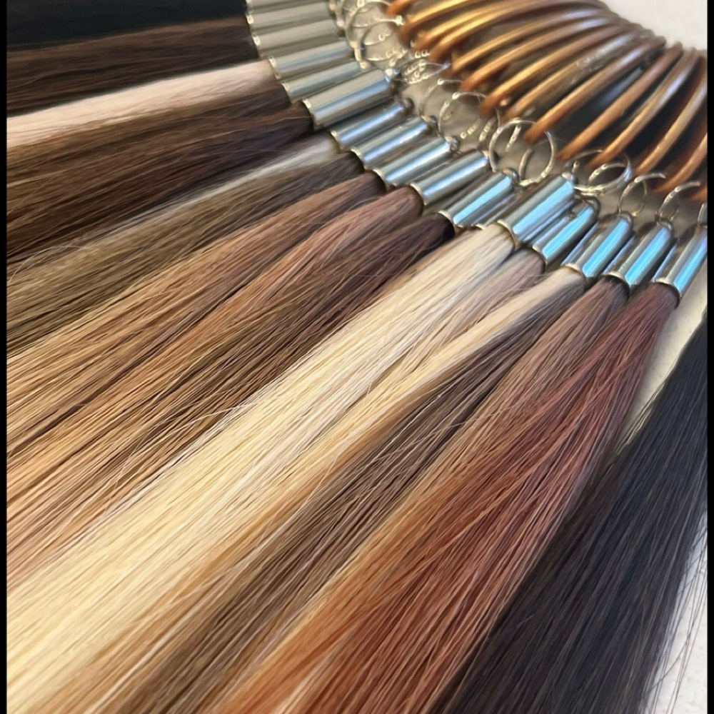 Extension Consultation at Ellie Tucker in Decatur, AL