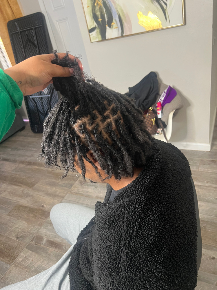 Starter Locs