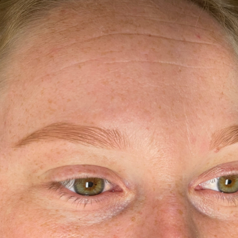 Brow Tint & Wax at Makayla Burton in Spring Hill, KS