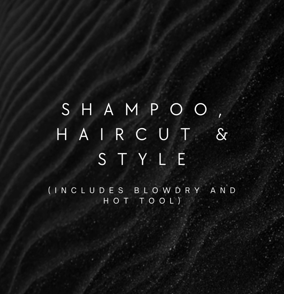 Shampoo, Haircut And Style