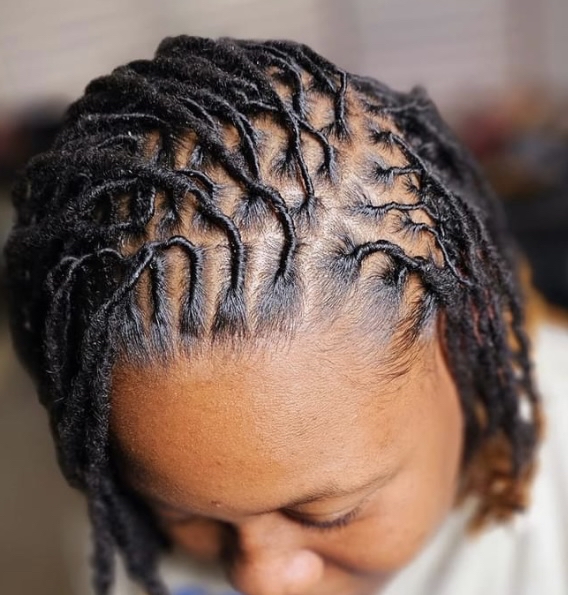 Starter Locs/