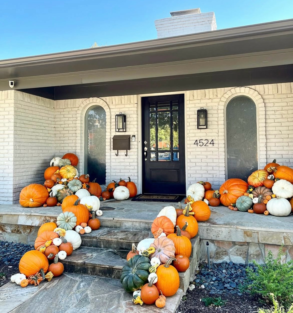 Prince Royal Pumpkin Package