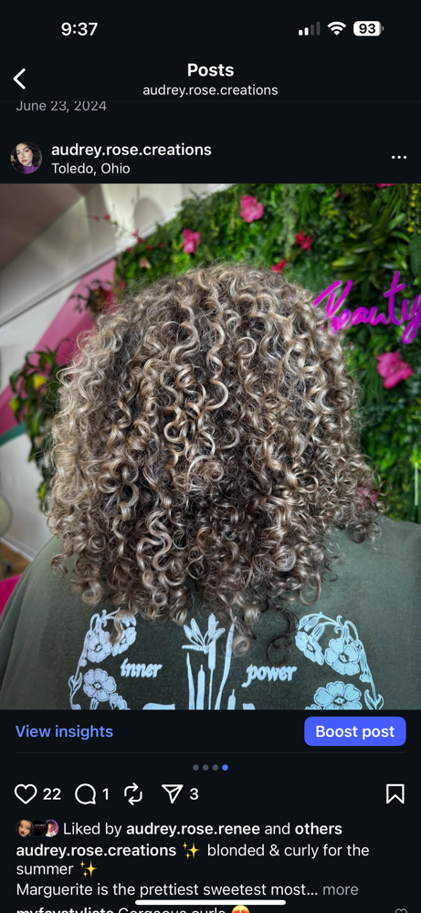 How To Style My Curls/Waves Service at Audrey  Benton in Rossford, OH