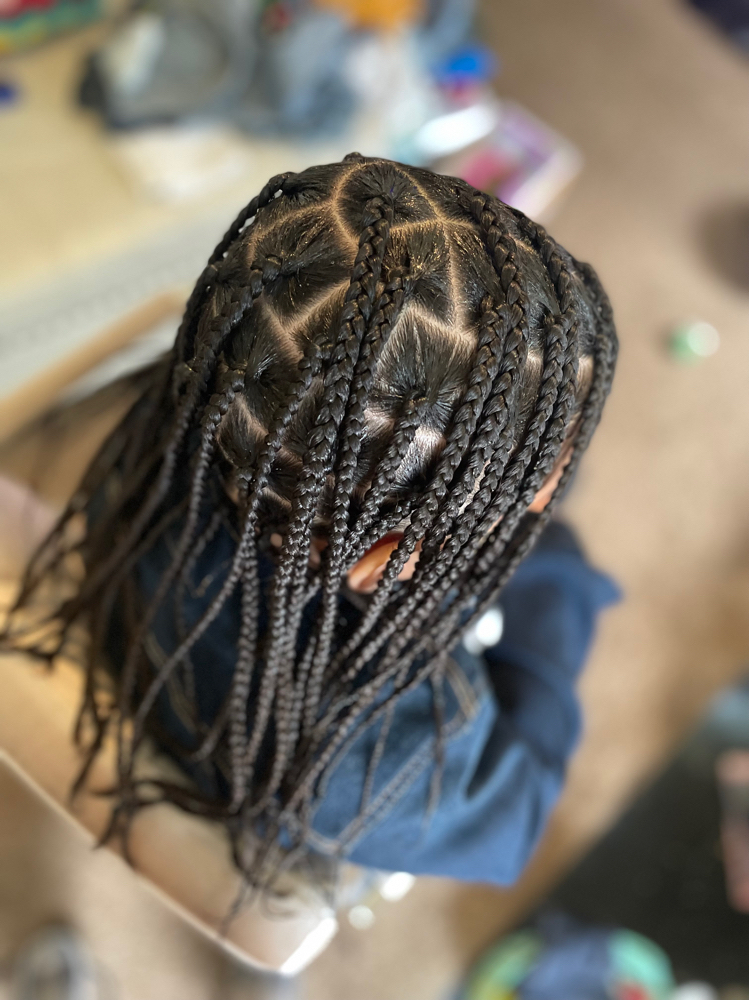Braids/Twist W/O Extra Hair Added