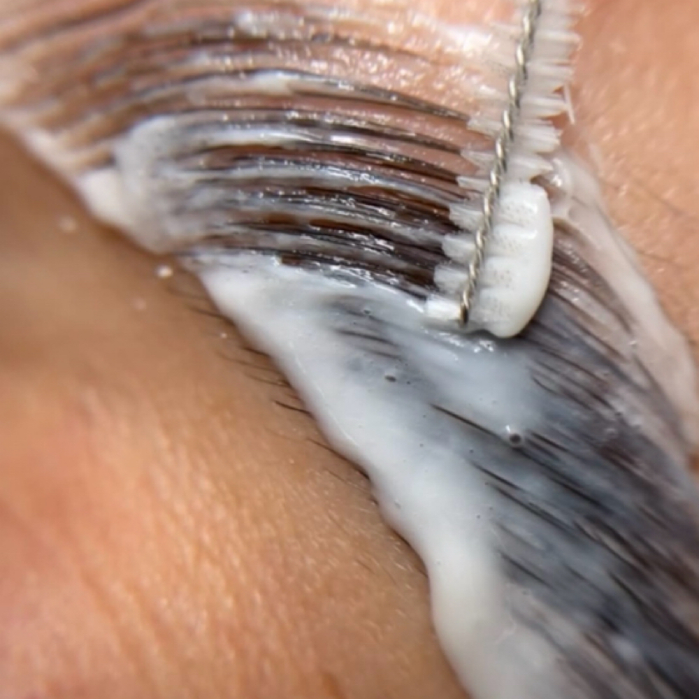 Luxe Brow Bundle at All About You Beautique in Eugene, OR