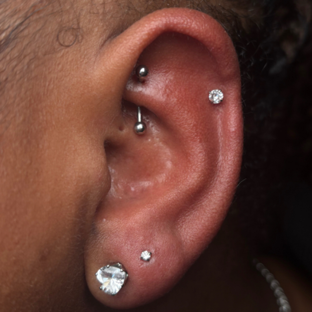 Rook at Piercingtings in Jacksonville, FL