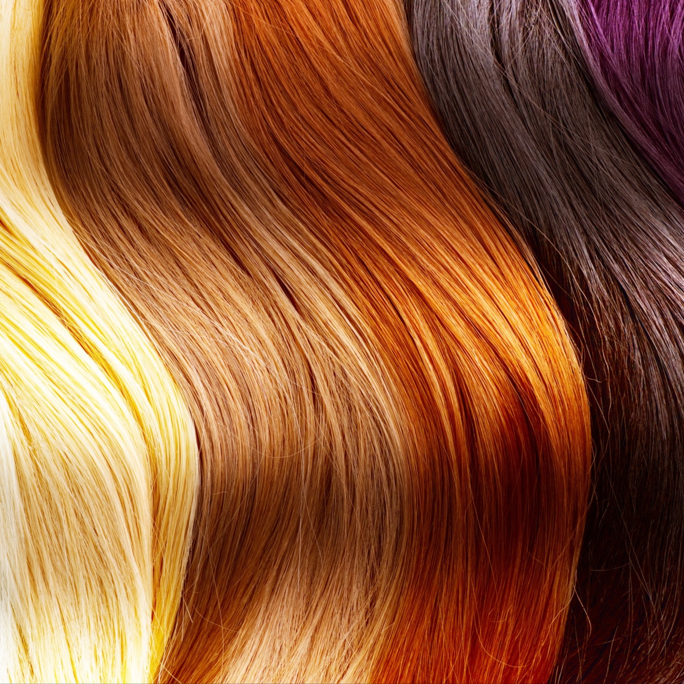 Basic Hair Color at Tommy & Co Hair Designs in Ahoskie, NC