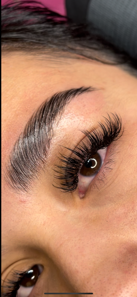 Eyebrow Lamination