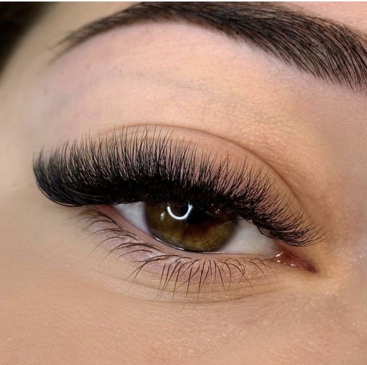 Volume Eyelash Extensions Full Set