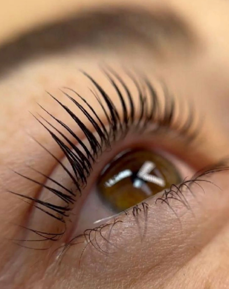 Lash Lift & Tint