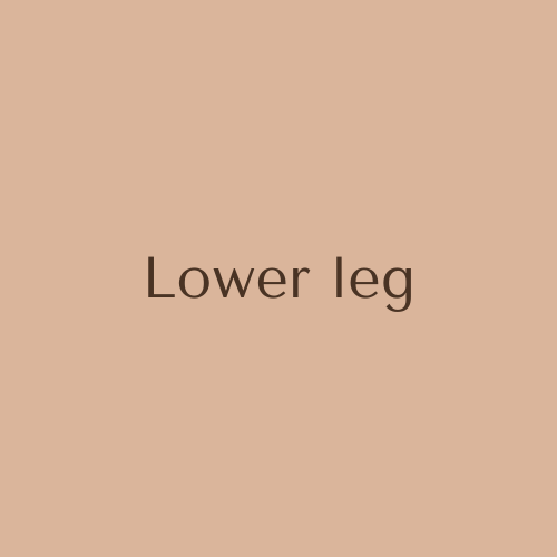 Lower Leg Wax