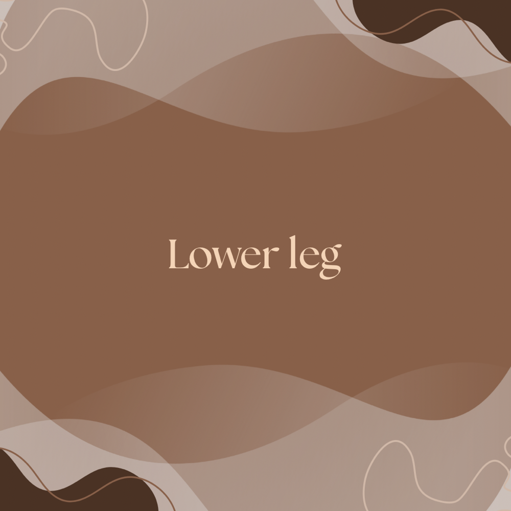 Lower Leg Wax