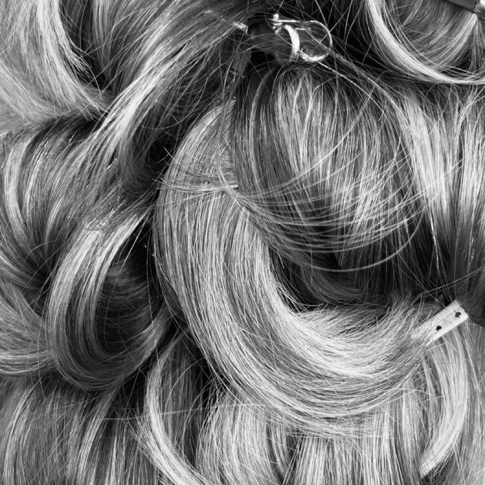 The Treatment at The Dragonfly Salon in Trexlertown, PA