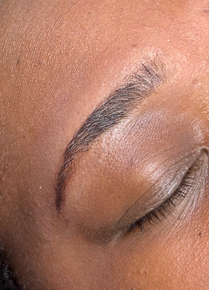 Eyebrow Tint ONLY at WinksEsthetics in Hamden, CT