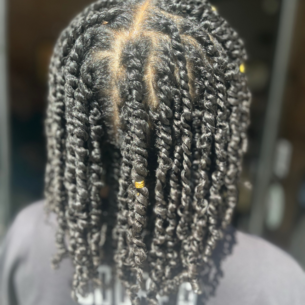 CLE Med 2 Strand Twists Long at Healthy Hair By Sarah in Indianapolis, IN