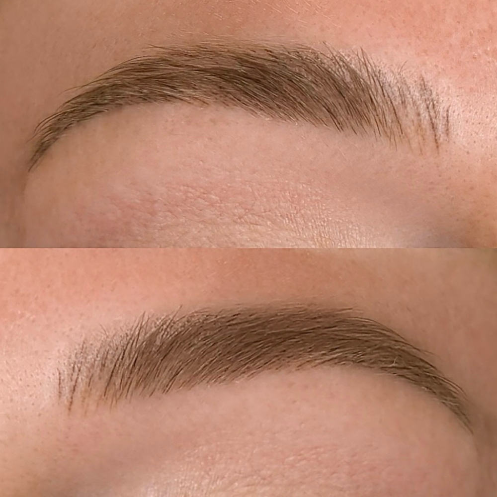 Microblading: 6 Month Color Refresh at Artistry by Shayla in 13212