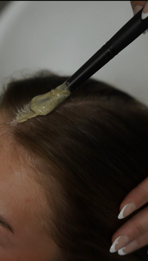 Q&A/ Into Mentorship