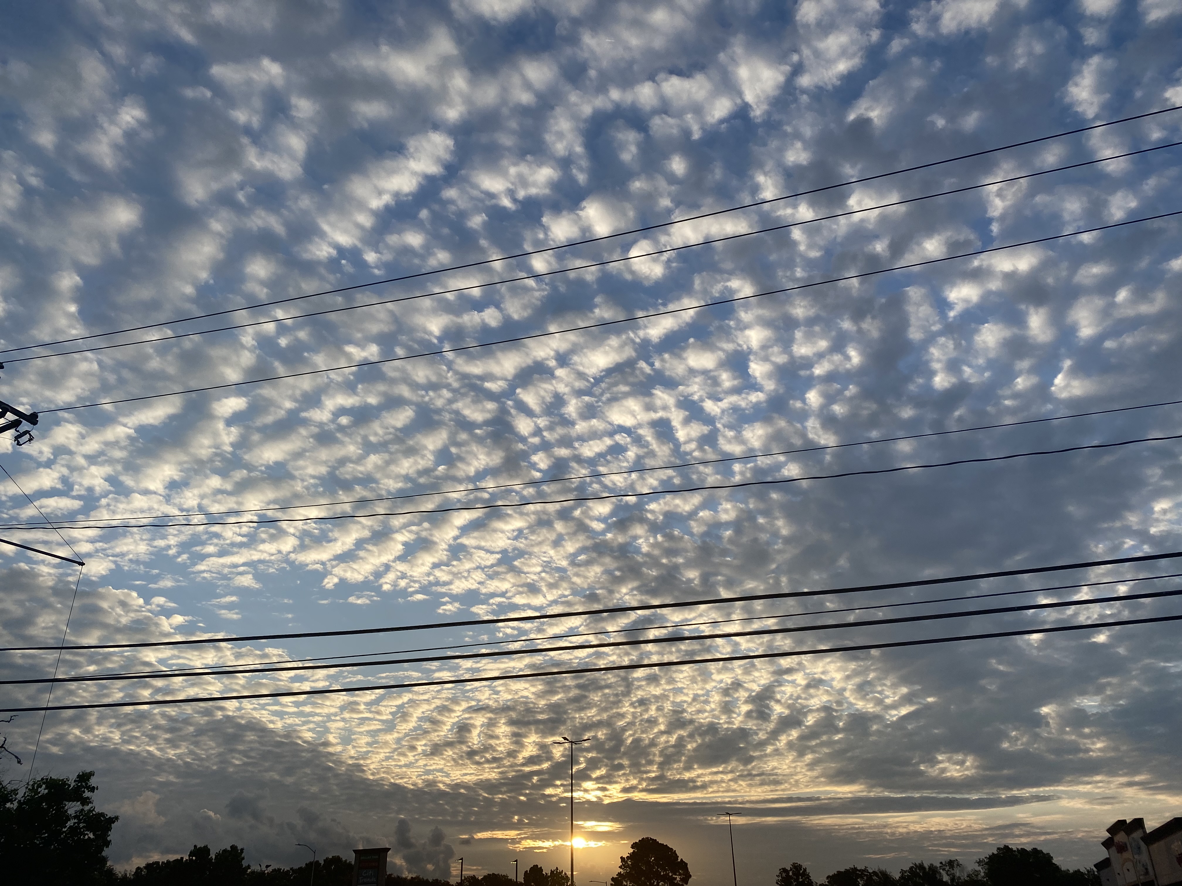 Sunset Silhouette Photography