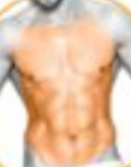 Male Chest/Abs