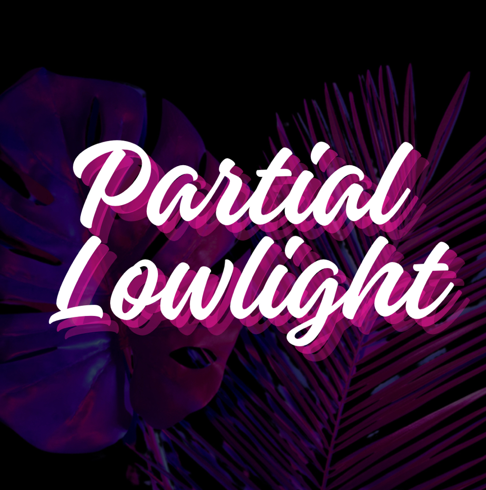 Partial Lowlight