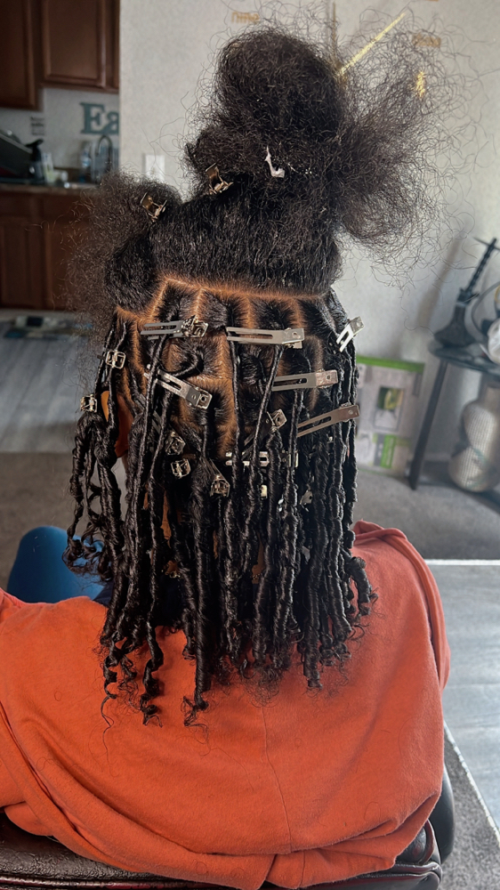Starter Locs