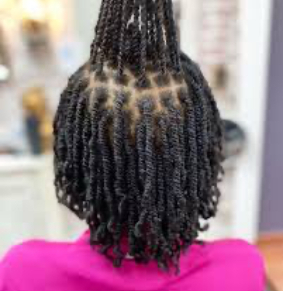 Mini Twists (Natural) at BOOKwSNOOK in Roanoke, VA