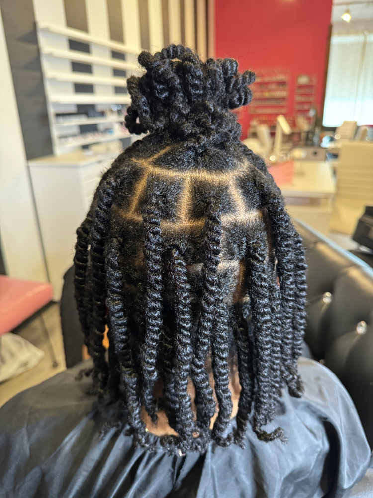 Braids | Twist On natural hair