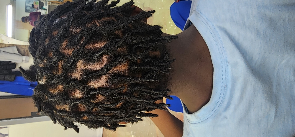 Starter Locs