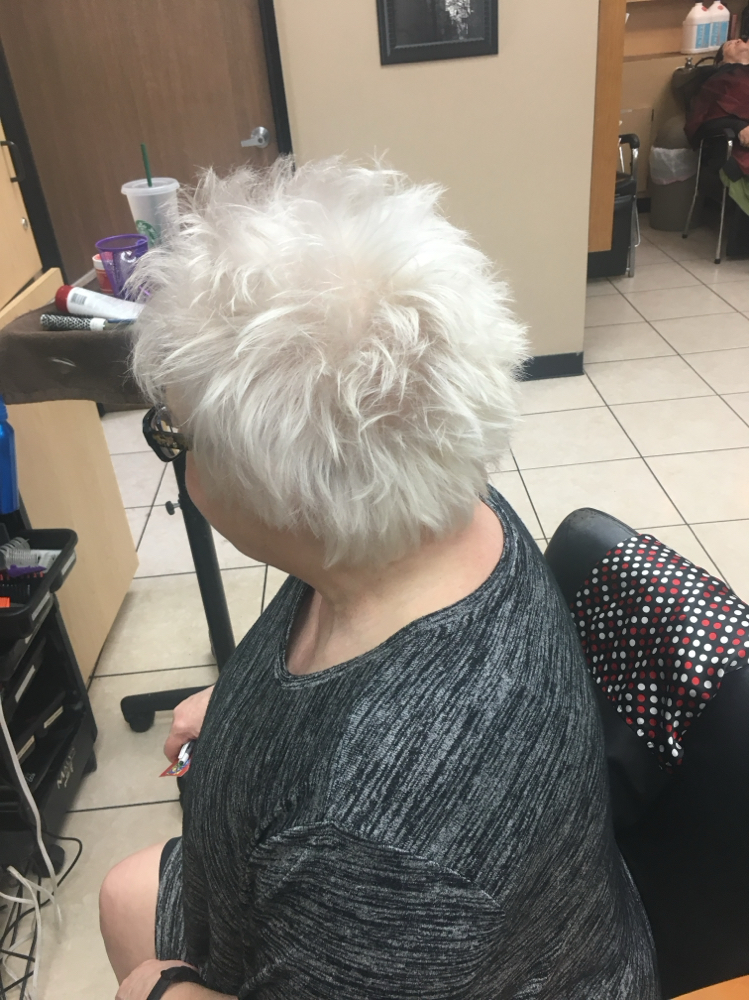 Wet Haircut No Dry Short