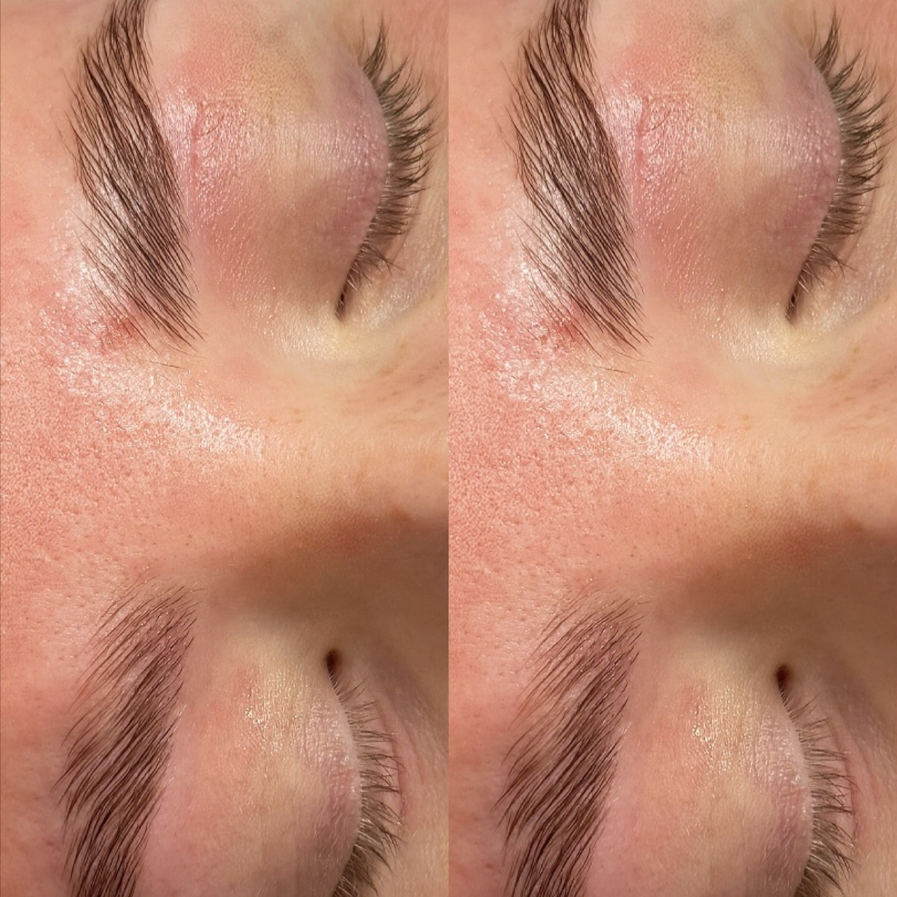 Brow Wax + Tint at Skin and Tell in Sioux Falls, SD