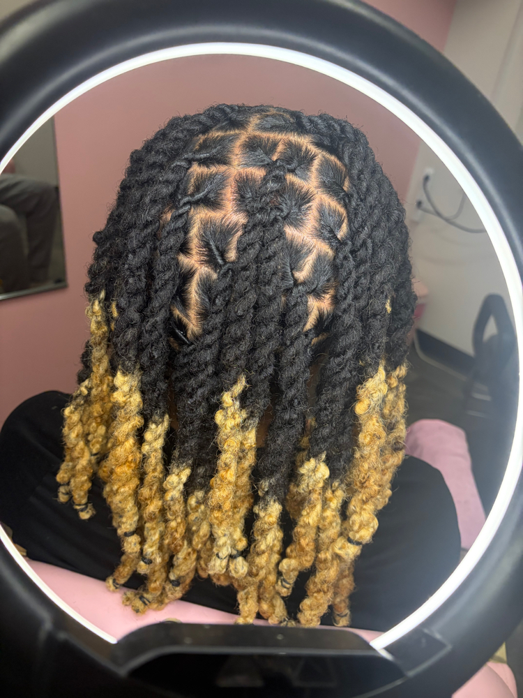 Adult Retwist & Style at StyledByLex in waldorf, MD
