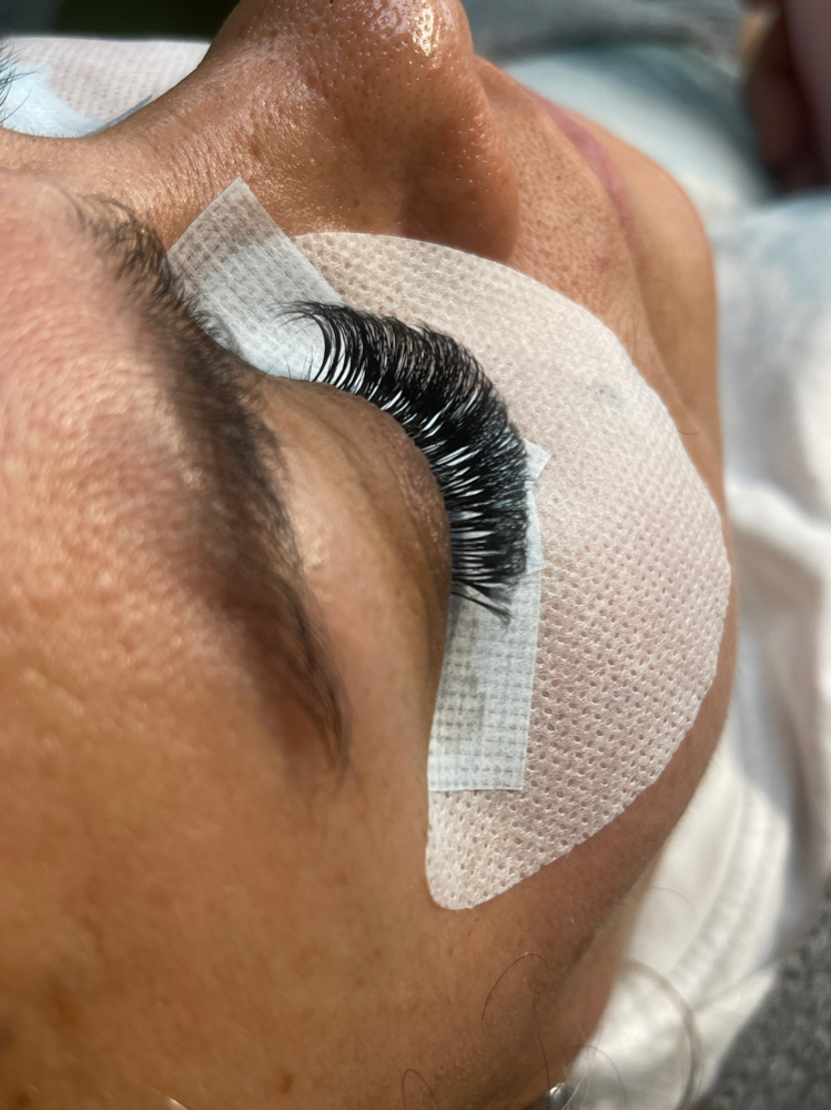 Vollume Lashes