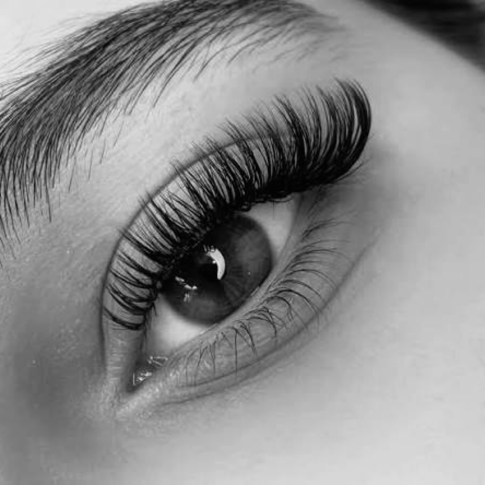 ✨NEW! Blush Fusion™ Lash Extensions at The Blush Box Salon- West Chester, Ohio in West Chester, OH