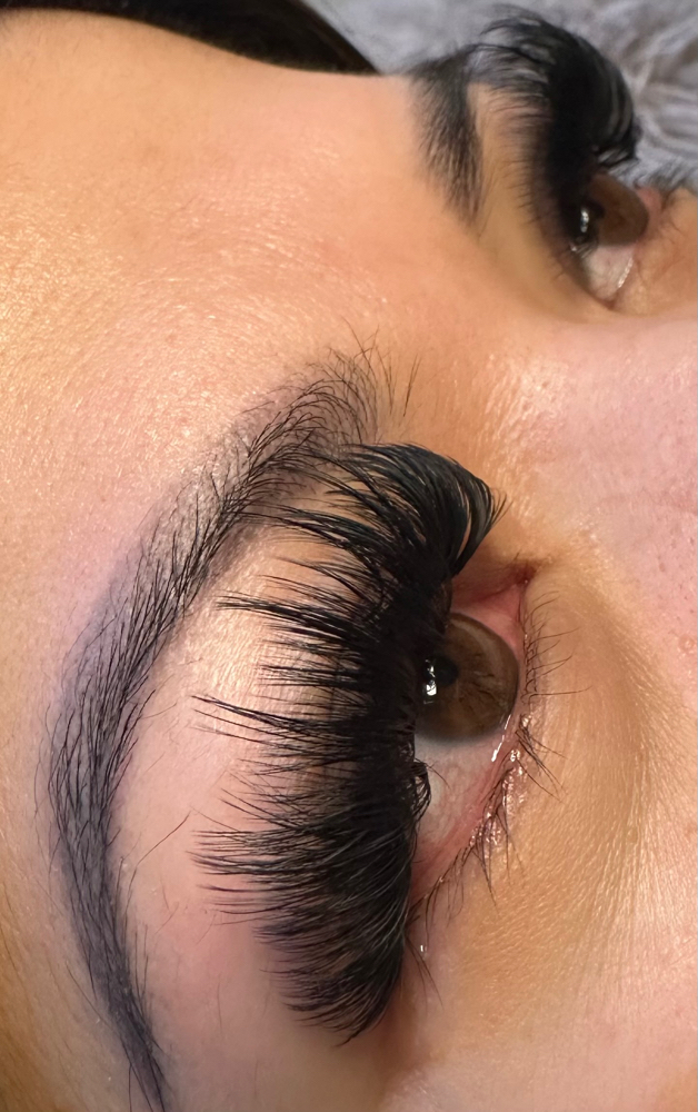 FOREIGN FILL 2-3 Weeks