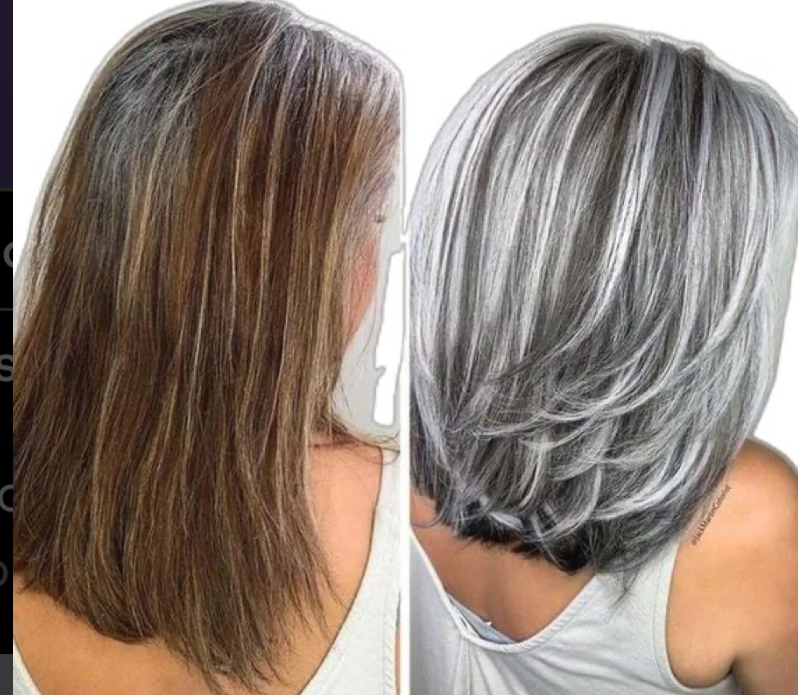 Silver Fox Transformation